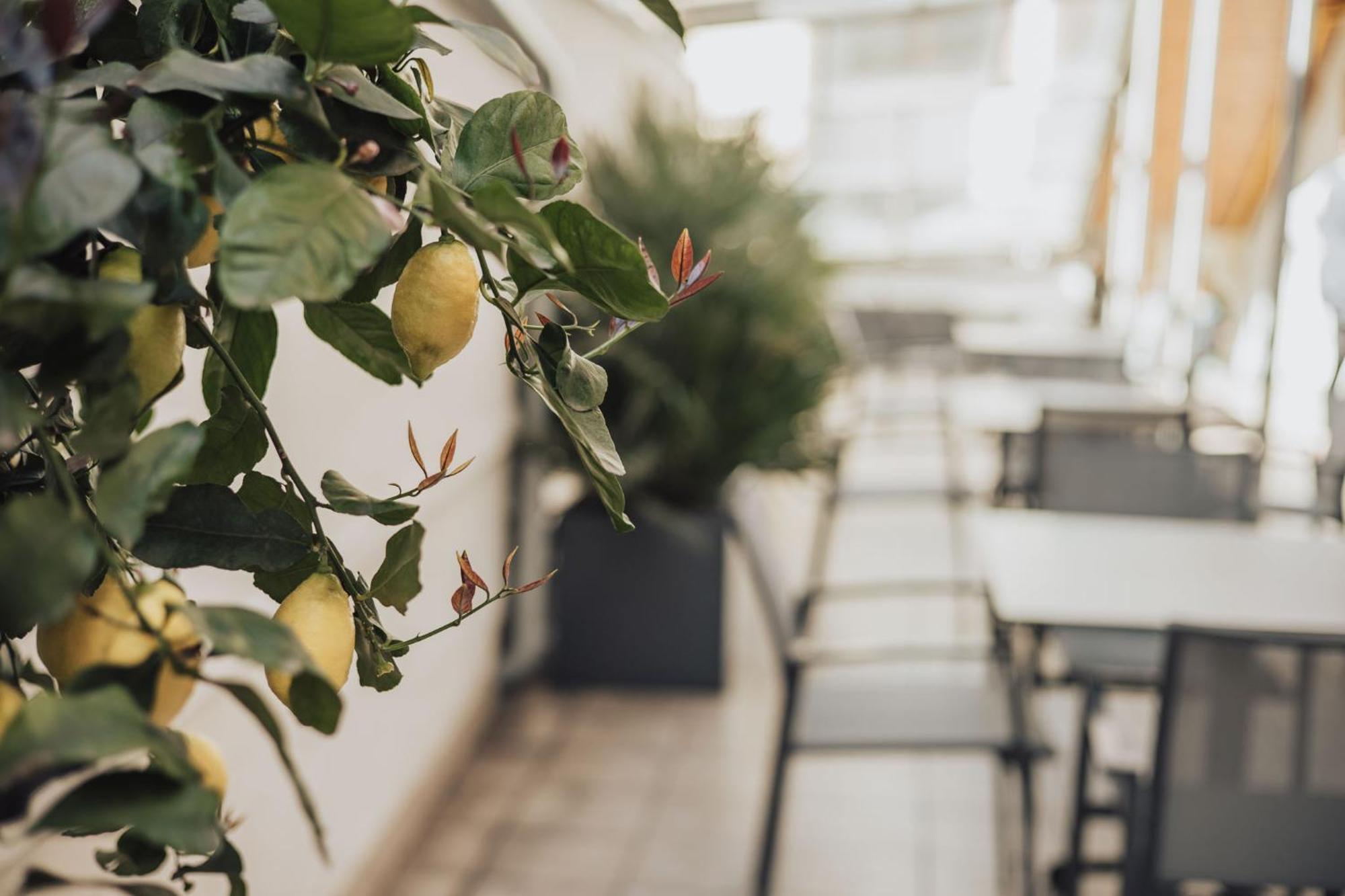Feichter Hotel & Bistro Bolzano Eksteriør bilde